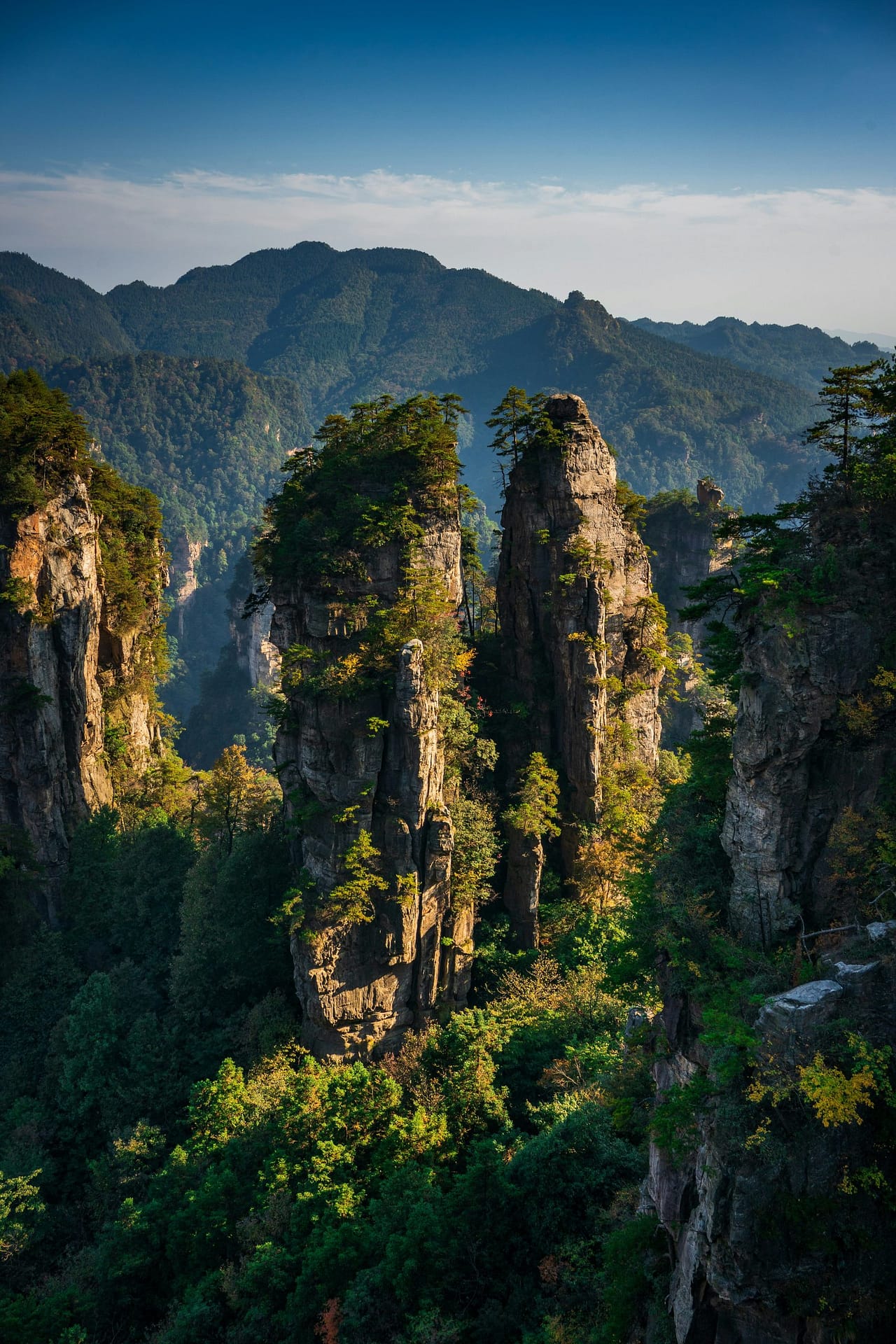 Zhangjiajie sandstone quartzite pillars rising through mountain mist